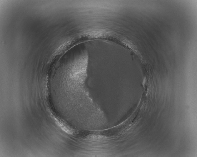 X0000078280590200611101136