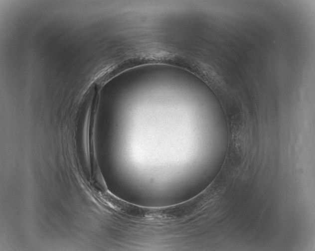 X0000078280591200611101136