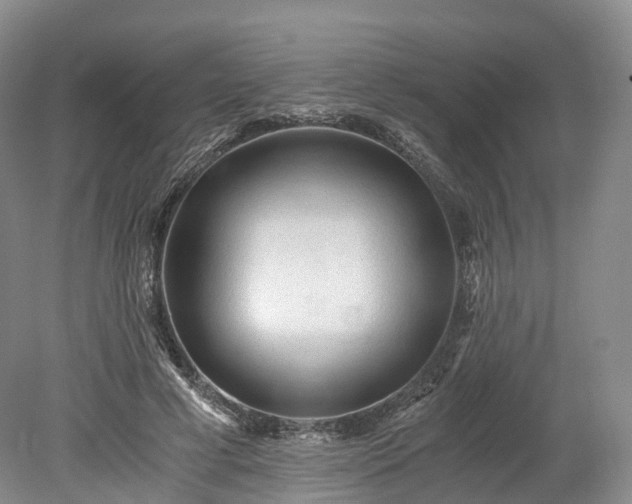 X0000078280593200611101135