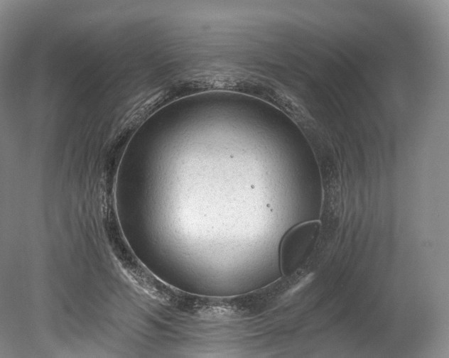 X0000078280594200611101135