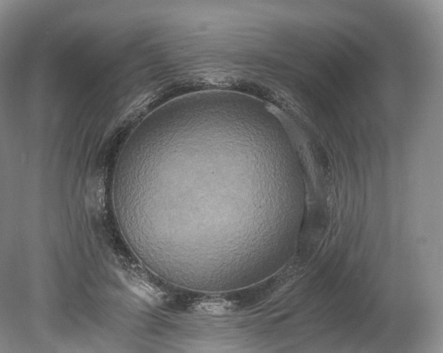 X0000078280595200611101135