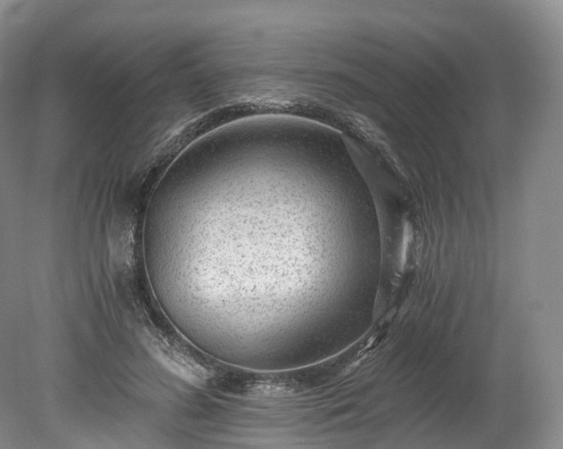 X0000078280596200611101135