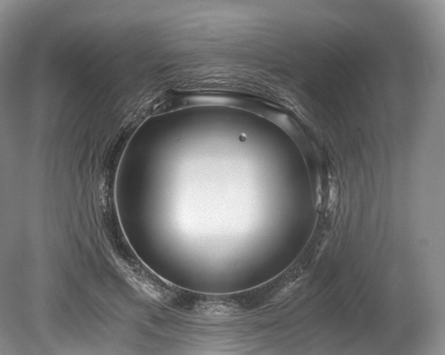 X0000078280597200611101135