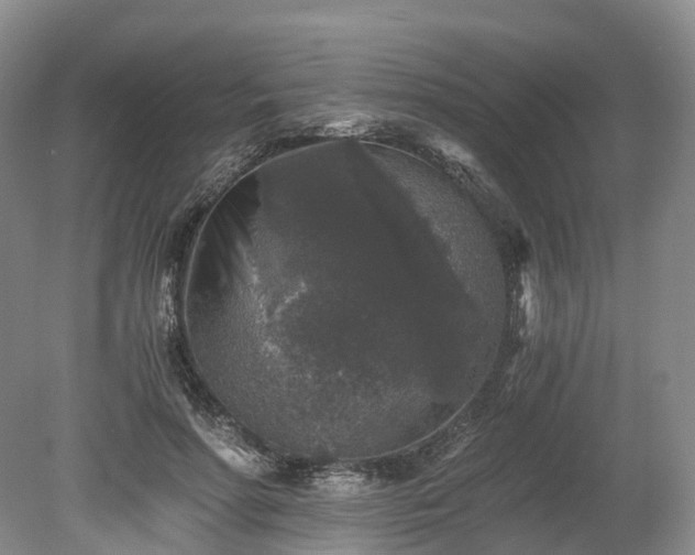 X0000078280598200611101135