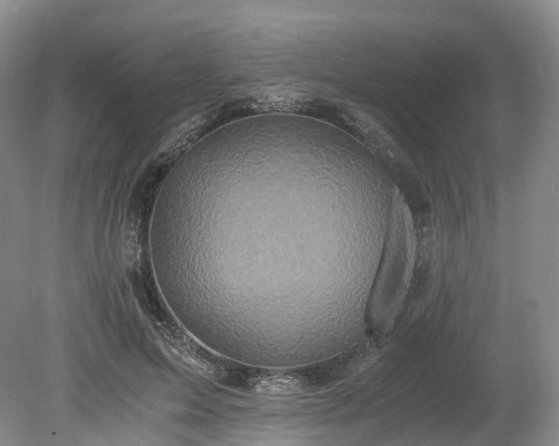 X0000078280599200611101135