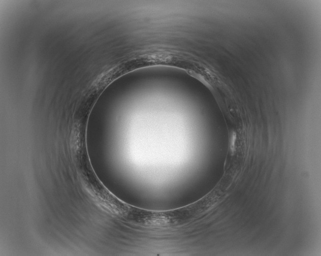 X0000078280600200611101135