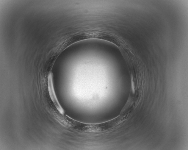 X0000078280601200611101135