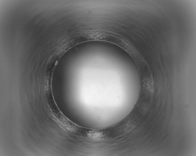 X0000078280602200611101135