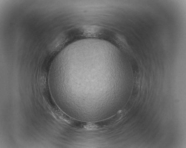 X0000078280603200611101135