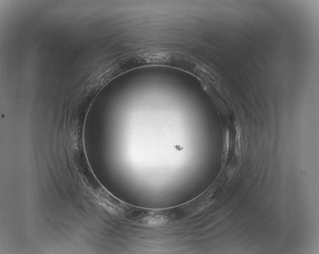 X0000078280604200611101135