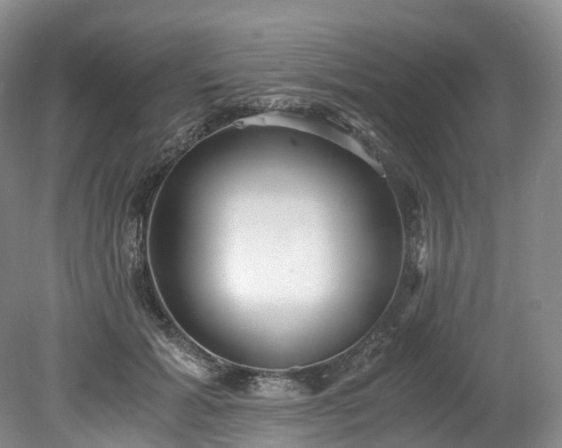 X0000078280605200611101135