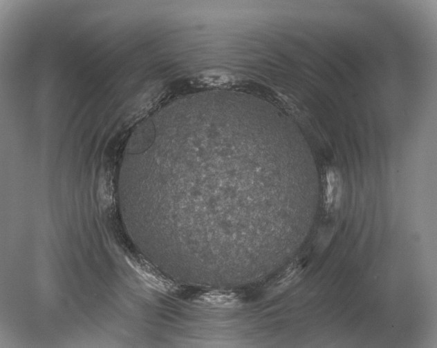 X0000078280606200611101135