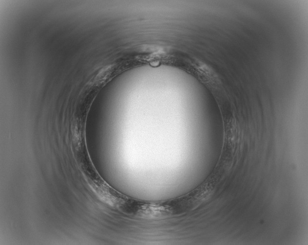 X0000078280607200611101135