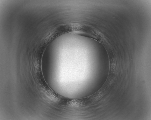 X0000078280608200611101135