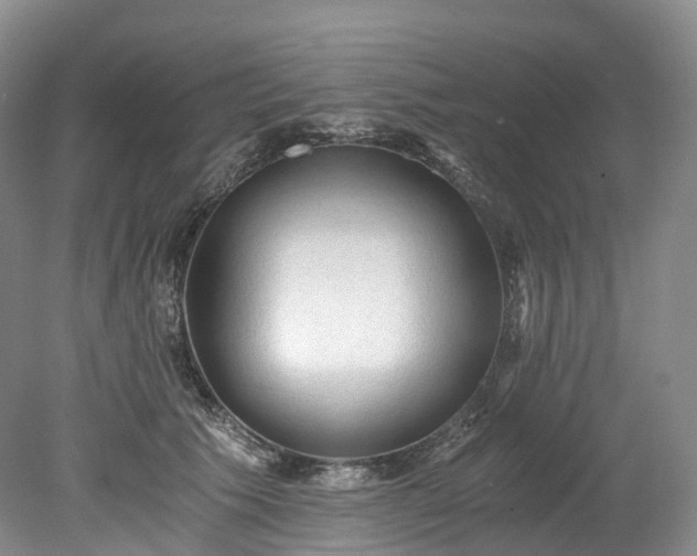 X0000078280609200611101135