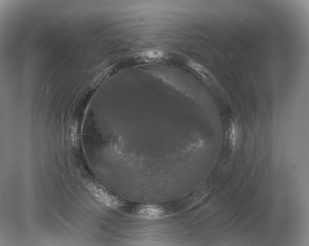 X0000078280610200611101135