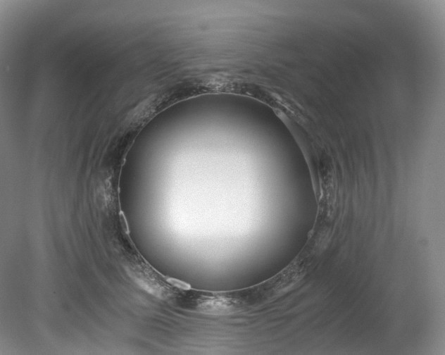 X0000078280611200611101135