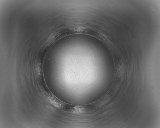 X0000078280612200611101135