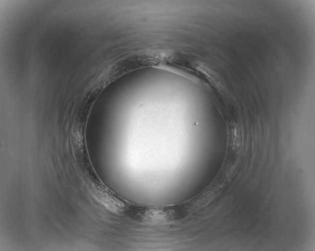 X0000078280613200611101135