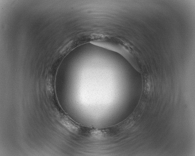 X0000078280616200611101135