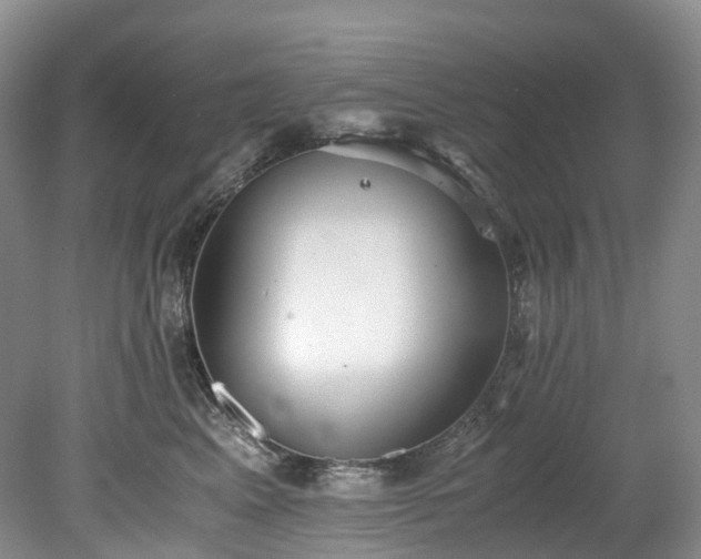 X0000078280617200611101135