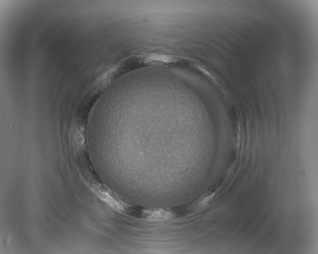 X0000078280621200611101135