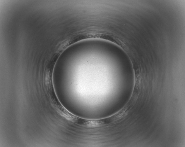 X0000078280623200611101135