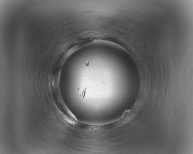 X0000078280624200611101135