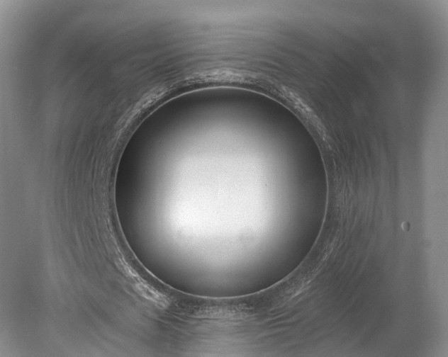 X0000078280625200611101134