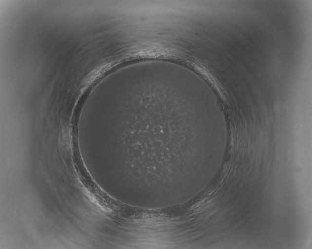 X0000078280626200611101134