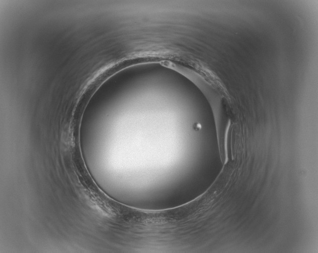 X0000078280628200611101134