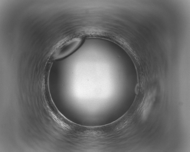 X0000078280629200611101134