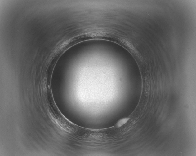 X0000078280631200611101134