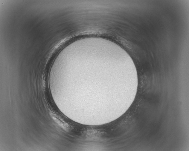 X0000078280632200611101134