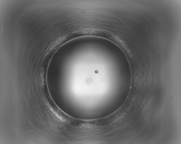 X0000078280633200611101134