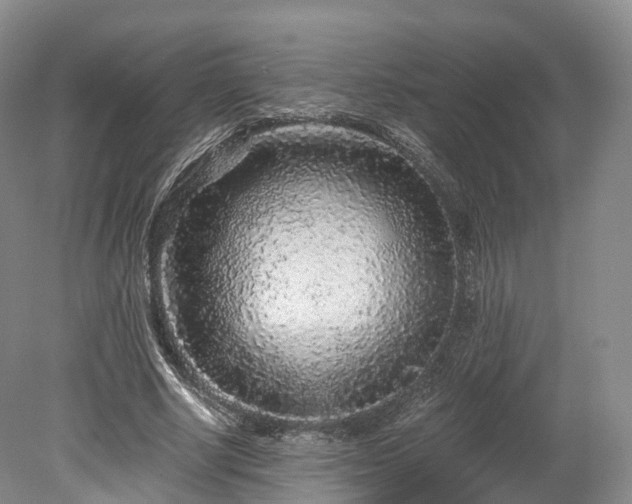 X0000078280634200611101134