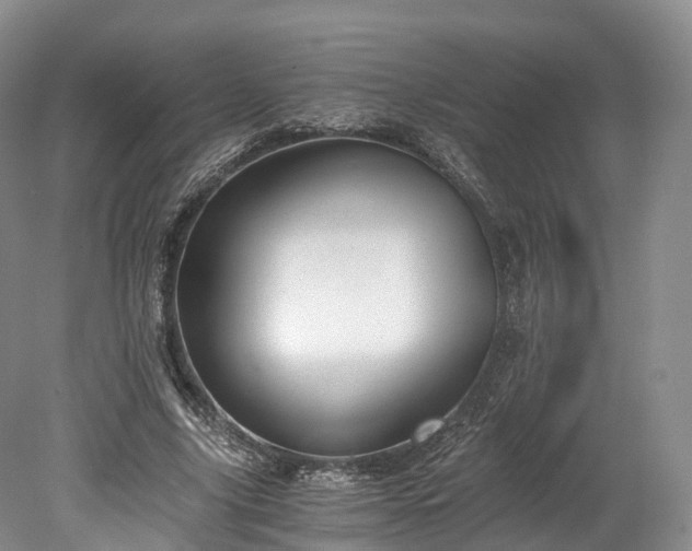 X0000078280635200611101134