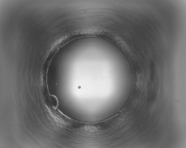 X0000078280636200611101134