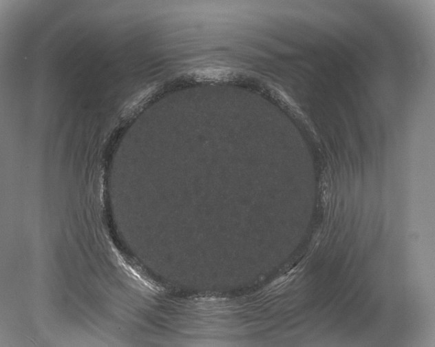 X0000078280637200611101134