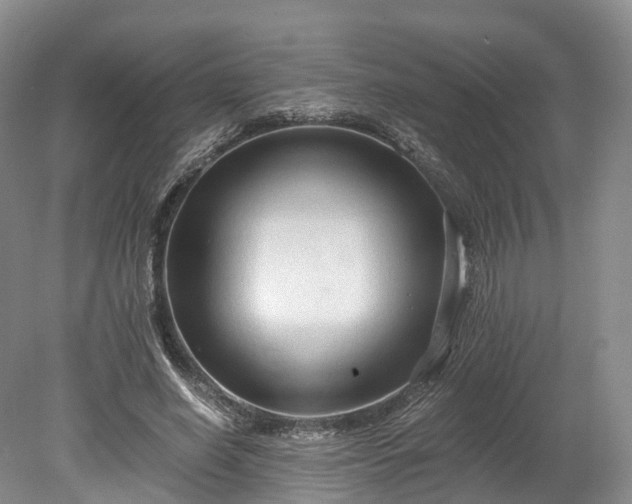 X0000078280638200611101134