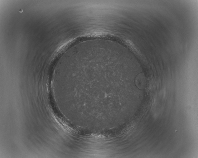 X0000078280640200611101134