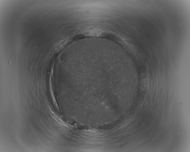 X0000078280641200611101134