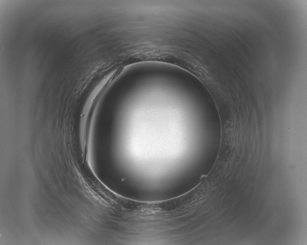 X0000078280642200611101134