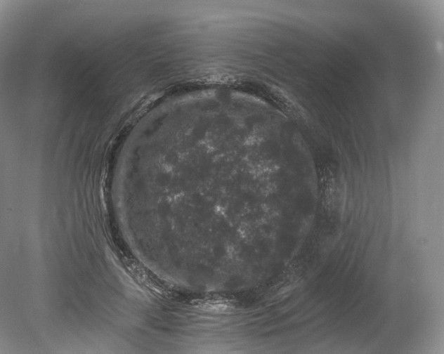 X0000078280643200611101134