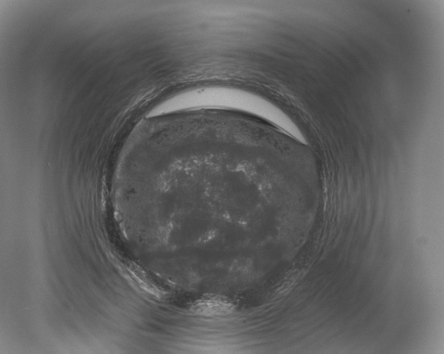 X0000078280644200611101134