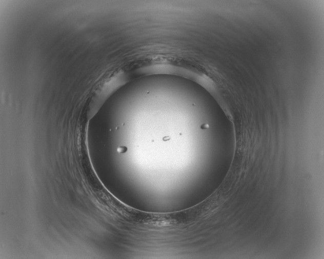 X0000078280646200611101135