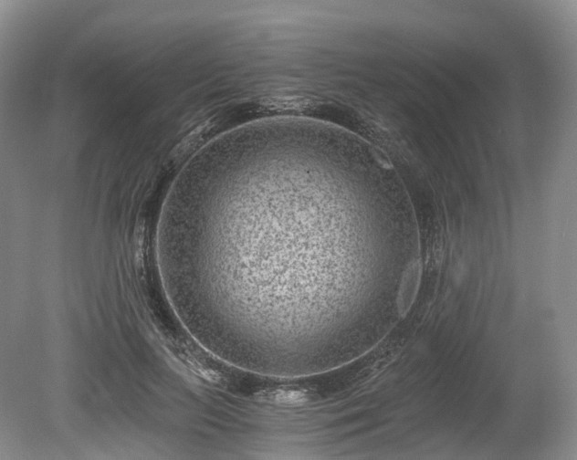 X0000078280647200611101135