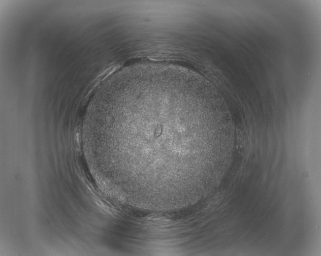 X0000078280648200611101135