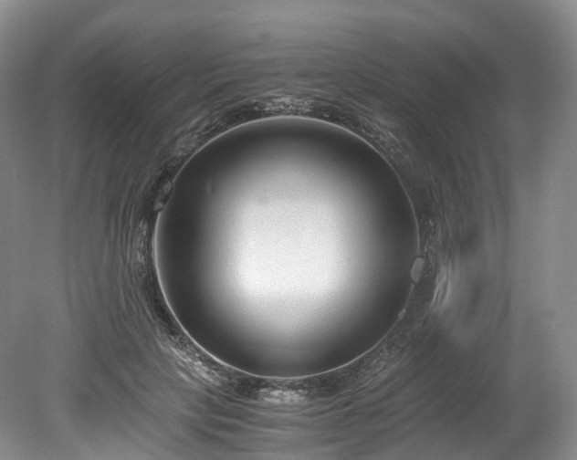 X0000078280649200611101135