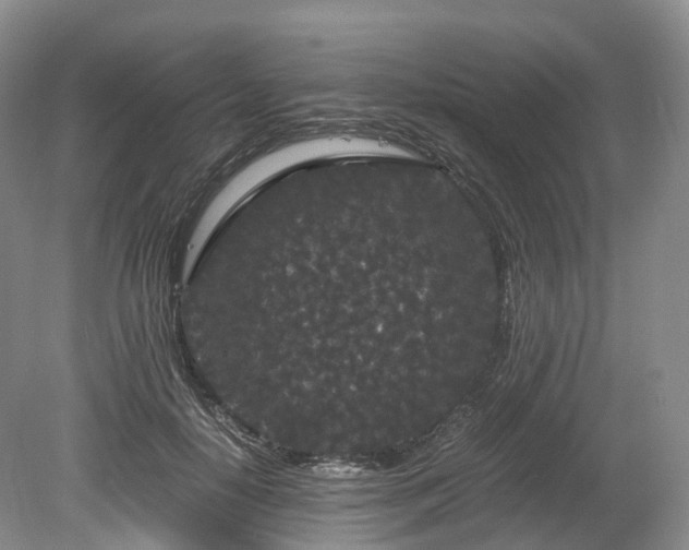 X0000078280650200611101135